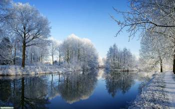 Заснеженное озеро - обои для рабочего стола, , зима, вода, лес, снег