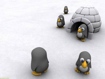 Прикольные пингвины - 3D обои на рабочий стол, , 3D, пингины, белый