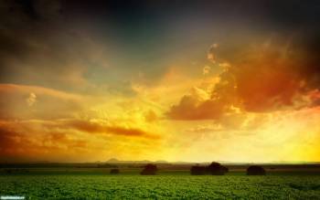 Закат в поле - обои на рабочий стол, , поле, закат, зеленый, облака, желтый