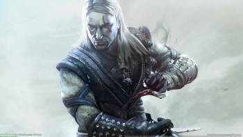 The Witcher, обои из игры The Witcher, , The Witcher, серый, воин