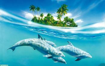 Три дельфина - обои животных для рабочего стола, , дельфин, море, вода, голубой