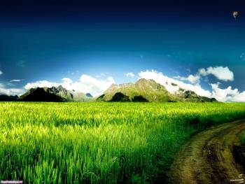 Дорога в горы - красивые обои природы, , дорога, трава, зеленый, голубой, горы, поле