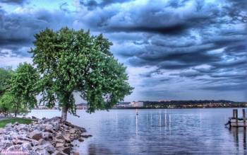 HDR обои - дерево на берегу озера, , HDR, синий, облака, отражение, дерево, озеро