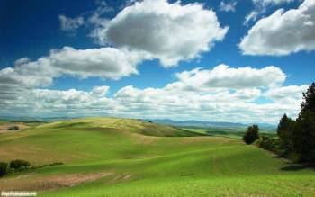 Облака над полем - красивые обои 1280x800 пикселей, , поле, зеленый, голубой, облака, лес