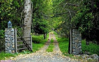 Ворота в лесу - красивые обои природы для рабочего стола, , дорога, лес, зеленый, ворота