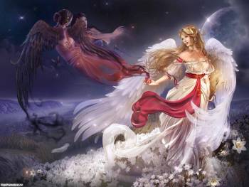 Три ангела - обои для рабочего стола, , ангел, крылья, девушка, цветы, белый