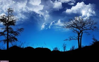 Широкоформатные обои природы, обои 1680x1050, , вечер, дерево, небо, облака, синий, голубой