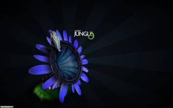 Jungle - широкоформатные обои на рабочий стол, , Jungle, темный, музыка, птица, сиреневый, уветок, колонка