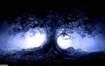 Широкоформатные обои - старое дерево, , дерево, синий, темный, лес