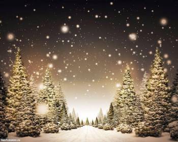 Новый год 2010, обои на Новый год 2010, , 2010, Новый год, елка, снег, зима, холод, белый, снежинки