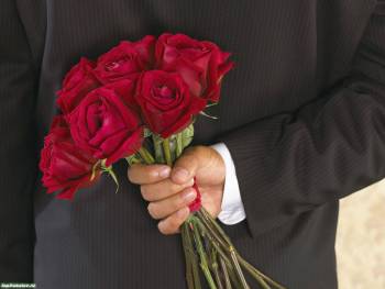 Букет красных роз - обои-сюрприз на рабочий стол, , розы, красный, рука, костюм, мужчина
