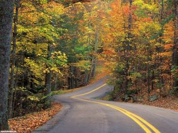 Обои дорога, скачать бесплатно обои 1600х1200, , дорога, лес, осень, природа, 1600х1200