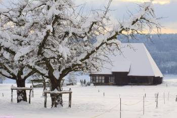 Фото зима в деревне, заснеженный домик, , дом, снег, дерево, зима