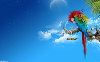 Большой разноцветный попугай на ветке, , голубой, небо, попугай, птица, облака, луна