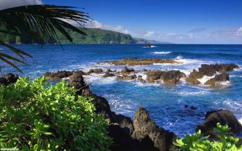 Дорога на Хану - красивые большие обои природы, , Мауи, США, океан, пальма, камни, горы, прибой, волны, синий, голубой