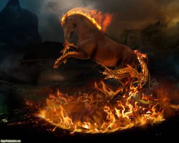 Лошади обои: красивые обои с огненным конем на рабочий стол, , конь, огонь, темный, мрачный, оранжевый, грива, лошадь