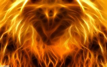 Фото огонь - красивые широкоформатные обои огня, , огонь, оранжевый, фото, 1680x1050