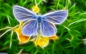 Обои с бабочкой скачать бесплатно, , голубой, зеленый, желтый, цветок, бабочка