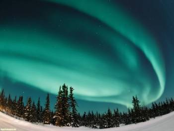 Северное сияние - фото 1600x1200 пикселей скачать бесплатно, , север, северное сияние, голубой, ель, елка, зима, холод, снег