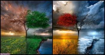 Времена года - широкоформатные обои, , зима, лето, весна, осень, поле, цветы, небо, море, дерево, разноцветный