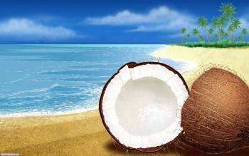 Спелый кокос - обои 1920x1200, , кокос, песок, пальма, океан, 3D, прибой, волны, небо, облака, орех, природа, тропики