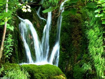 Обои водопад, , водопад, зелень, трава, лес, вода, природа