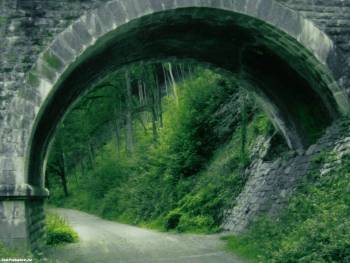 Дорога под мостом - большие обои, , дорога, мост, арка, лес, кусты