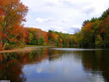 Красивое осеннее озеро - обои природы 1600x1200 пикселей, , 1600x1200, осень, озеро, лес, отражение, вода