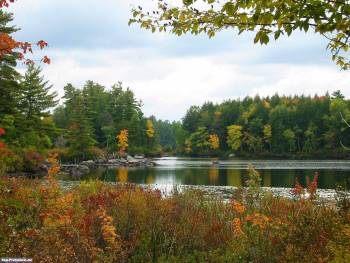 Озеро в лесу, обои 1600x1200, , озеро, лес, отражение, осень