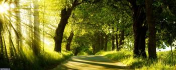 Двойные обои природы - летом в парке, , солнце, лучи, парк, деревья, трава, дорога, тень, лето, природа