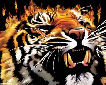 Тигр обои, красивые рисованные обои с тигром, , тигр, рисунок, оскал, зубы, клыки, ярость, рев, хищник