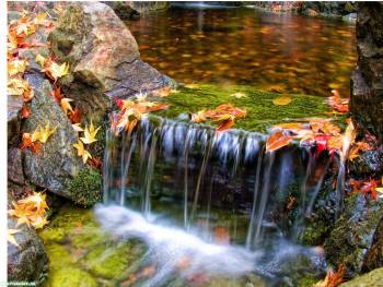 Обои водопад - красивые обои природы на рабочий стол, , фото, водопад, осень, листья, природа