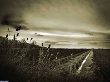 Черно-белые фотообои - борозда в поле, , поле, черно-белый, трава, небо, облака, фото