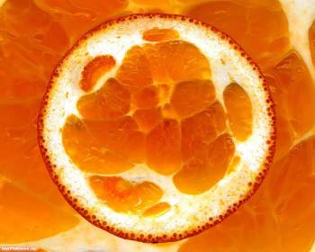 Апельсин в разрезе - сочные обои на рабочий стол, , апельсин, разрез, фрукт