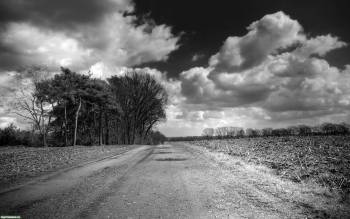 Красивые черно-белые обои: дорога в поле, , поле, дорога, черно-белый, небо, облака