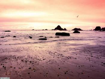 Розовый закат на море - роскошные обои заката, , закат, природа, море, берег, отлив