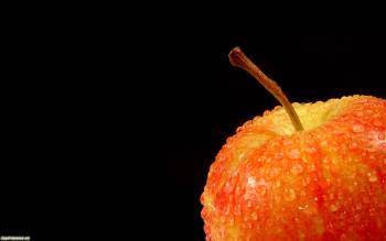 Красное яблоко в каплях росы, широкоформатные обои, , яблоко, роса, капля, фрукт