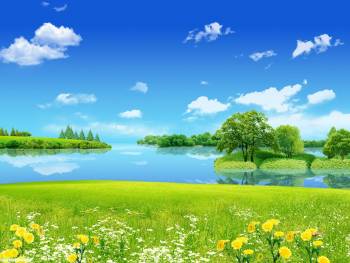 Большие обои природы 1600x1200, , природа, озеро, дерево, поле, цветы, небо, облака