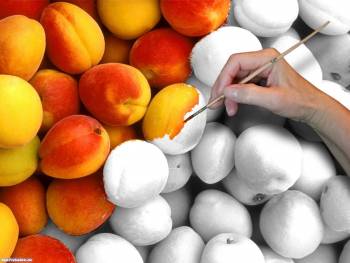 Раскрашивая персики - креативные обои фрукты, , персик, фрукт, рука, кисть