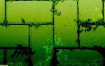 Зеленые обои - кирпичная стена, , кирпич, стена