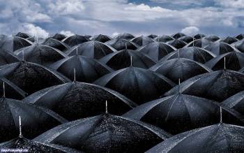 Черно-белые креативные обои: зонтики, , дождь, зонтик, черно-белый