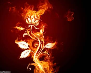 Цветок в огне, красивые огненные обои, , цветок, огонь, пламя, фотошоп