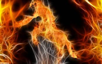 Огненные обои - пламенный конь, обои огонь, , пламя, огонь, абстракция, конь, фотошоп
