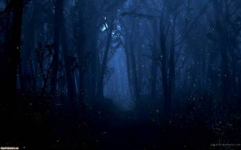 Мистический лес, широкоформатные фэнтези обои, , лес, мистика, мрачный