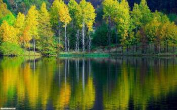Скачать обои природы 1680x1050 - осенний лес, , лес, осень, озеро, отражение, природа