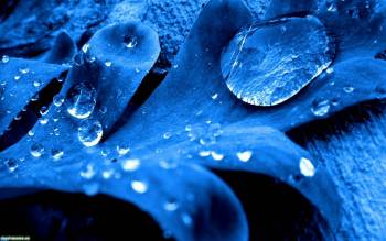 Макро-фото капель воды, широкоформатные синие обои, , макро, фото, лист