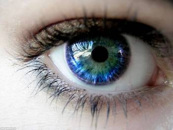 Женский глаз - обои 1600x1200 пикселей, , глаз, ресницы, макро