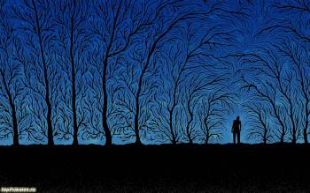 Деревья и человек - креативные обои 1280x800 пикселей, , дерево, человек, ветки