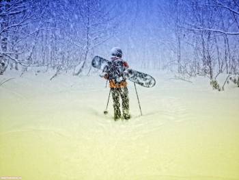 Зимой в лесу - бесплатно обои скачать, , спорт, лыжи, сноуборд