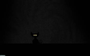 Черный кот в ночи - скачать обои, , кот, ночь